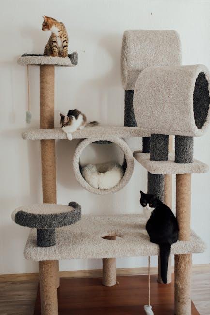 Finding the Purr-fect Cat Tree for Your Space