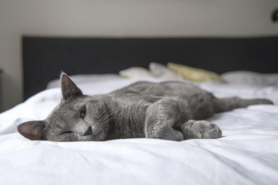 Cozy Cat Beds for⁤ Ultimate Snooze Sessions