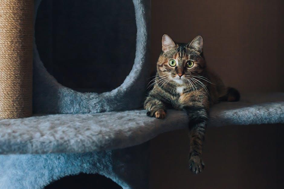 Easy Peasy Cat Care: A Beginner’s Guide for New Owners!