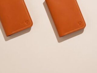 Must-Have Dog Accessories to Spruce Up Your Home!