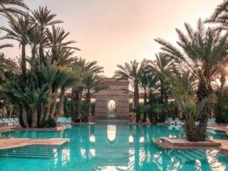 Paw-sitively Posh: The Ultimate Luxury Dog Accessories!