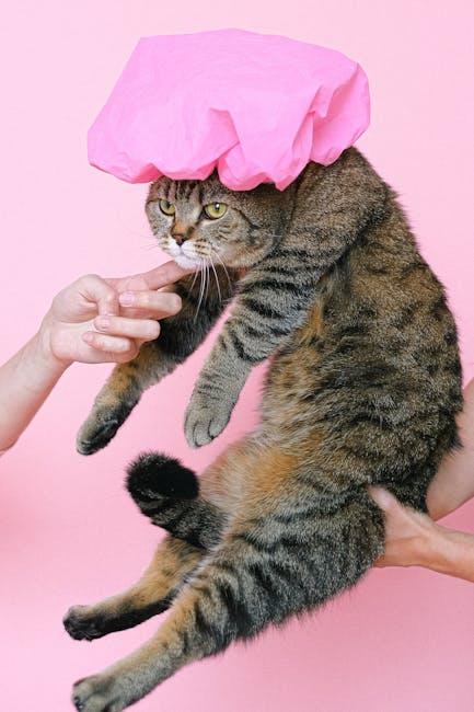 Pamper Your Purrfect Pal: Luxe Cat Accessories You Need!