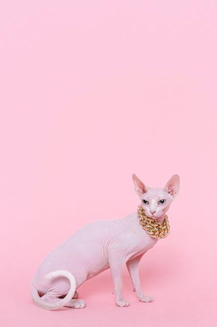 Purr-fect Presents: Fun Cat Accessories Your Feline Will Love!