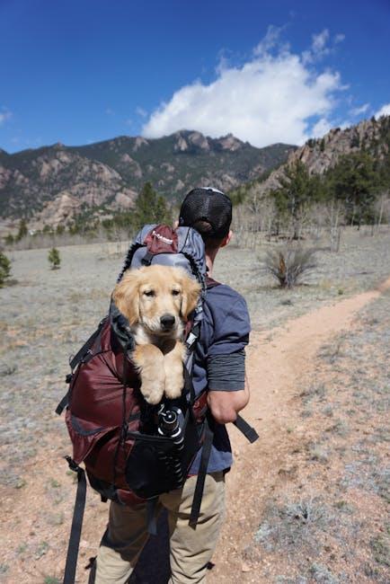 Adventure Awaits: Your Ultimate Guide to Dog Travel!