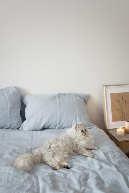 Sleek Style for Your Home: Chic Cat Furniture That Blends In