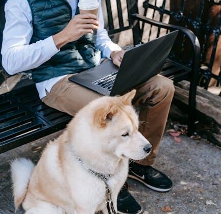 Unleash Your Pup’s Potential: Fun Online Dog Training Tips!