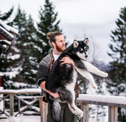 Woof and Wander: Honest Dog Travel Reviews You’ll Love!