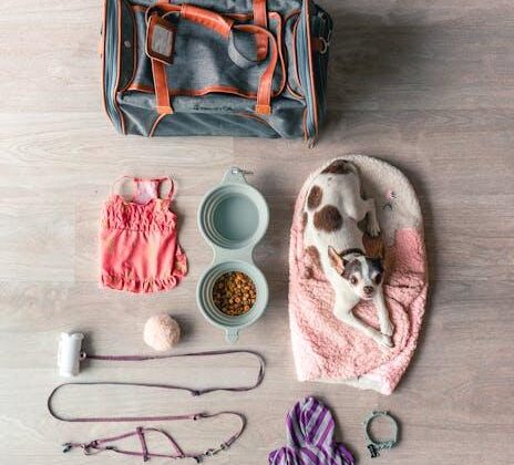 Your Guide to Pet Travel: Understanding Health Certificates!