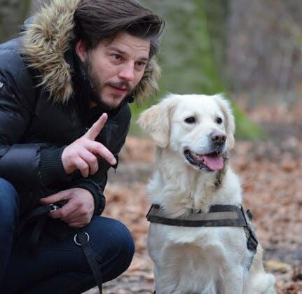 Unlock Your Pup’s Potential: Must-Watch Dog Training Videos!