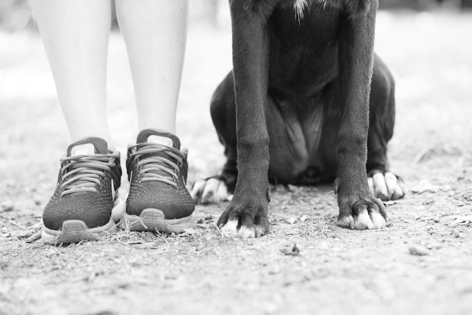 real Paws, ⁤Real Reviews: What ⁤Other Travelers Are⁢ Barking about
