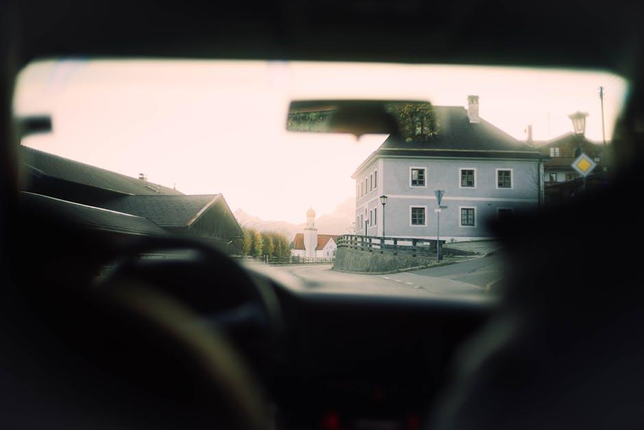 Road trip Ready: Safety Tips for Your Furry Co-Pilot
