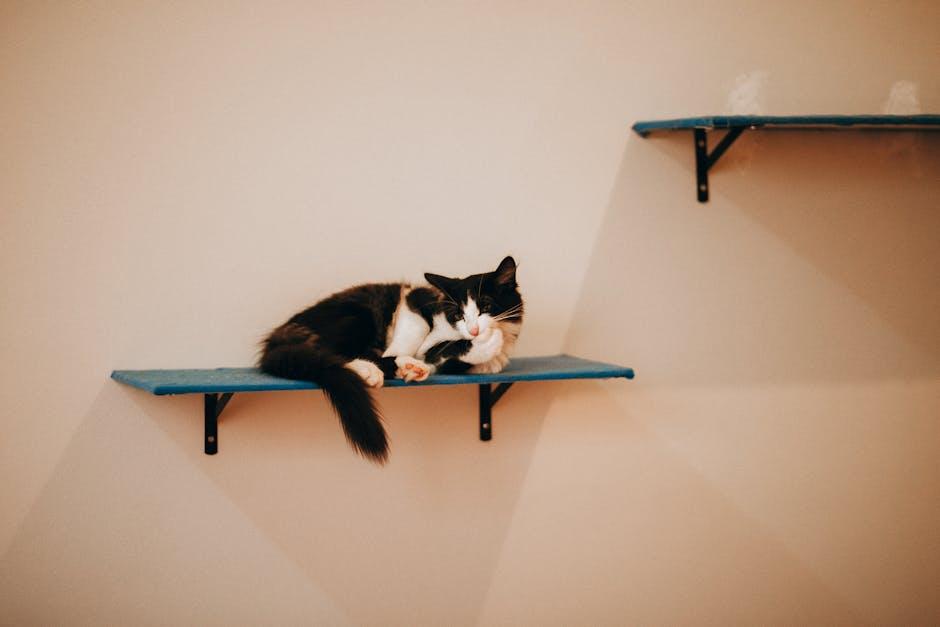 the Coziest Cat Beds for Ultimate Snuggles