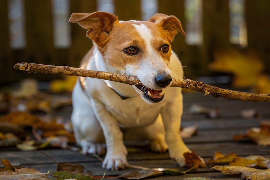 Making⁣ It Fun: Creative Strategies to Keep ‌Your Pup Engaged