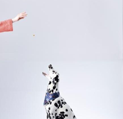 Mastering Dog Training at Home: Tips for Pawsitive Progress!