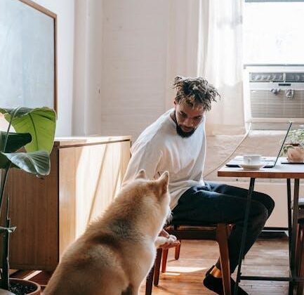 Train Your Pup from Home: The Fun of Online Dog Training!